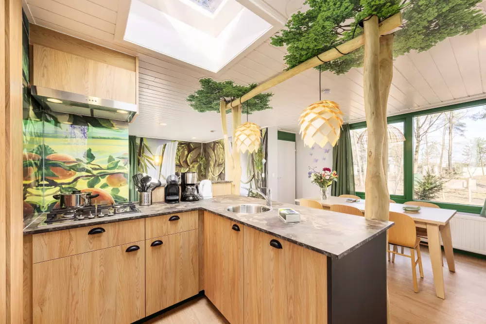 Domaine de Vossemeren Center Parcs