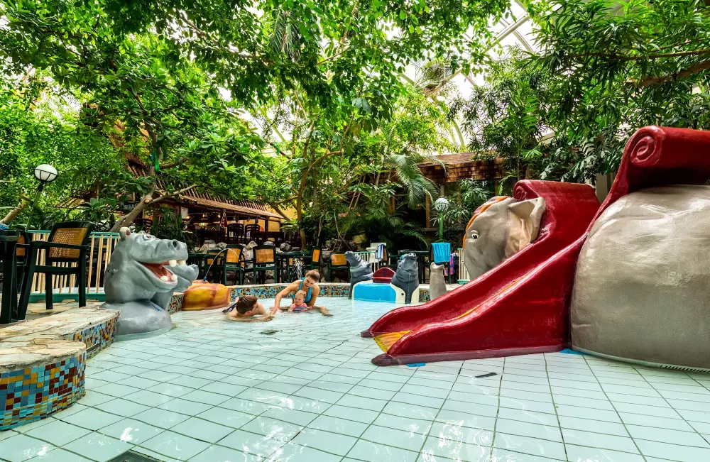 Domaine de Vossemeren Center Parcs