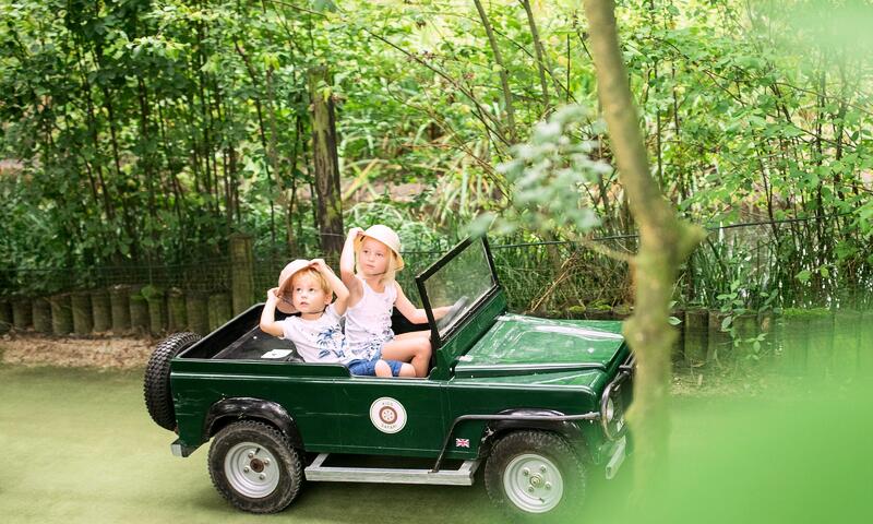 Domaine de Vossemeren Center Parcs - Lommel - 13