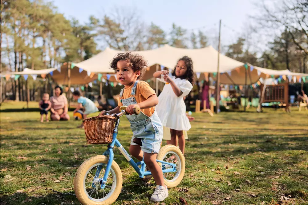 Domaine de Vossemeren Center Parcs