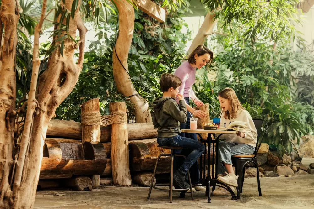 Domaine de Vossemeren Center Parcs