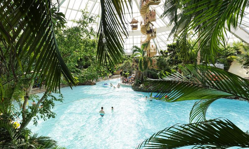 Domaine de Vossemeren Center Parcs - Lommel - 3