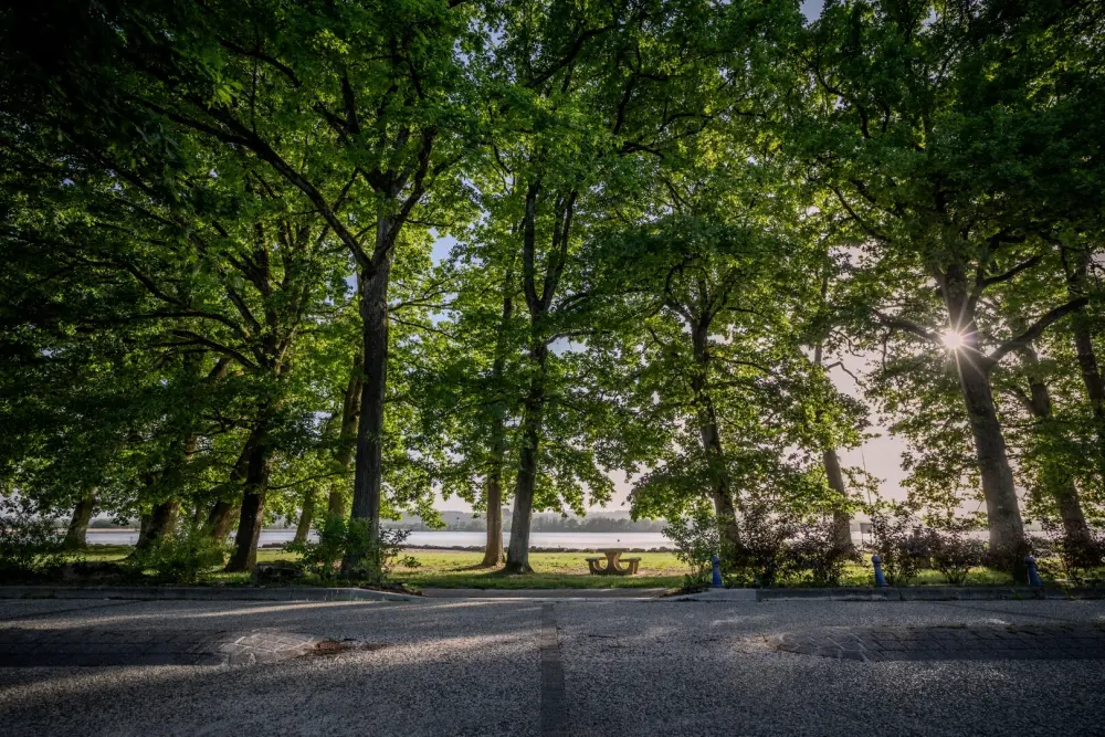 Camping maeva Escapades Domaine la Vingeanne 3 étoiles★★★