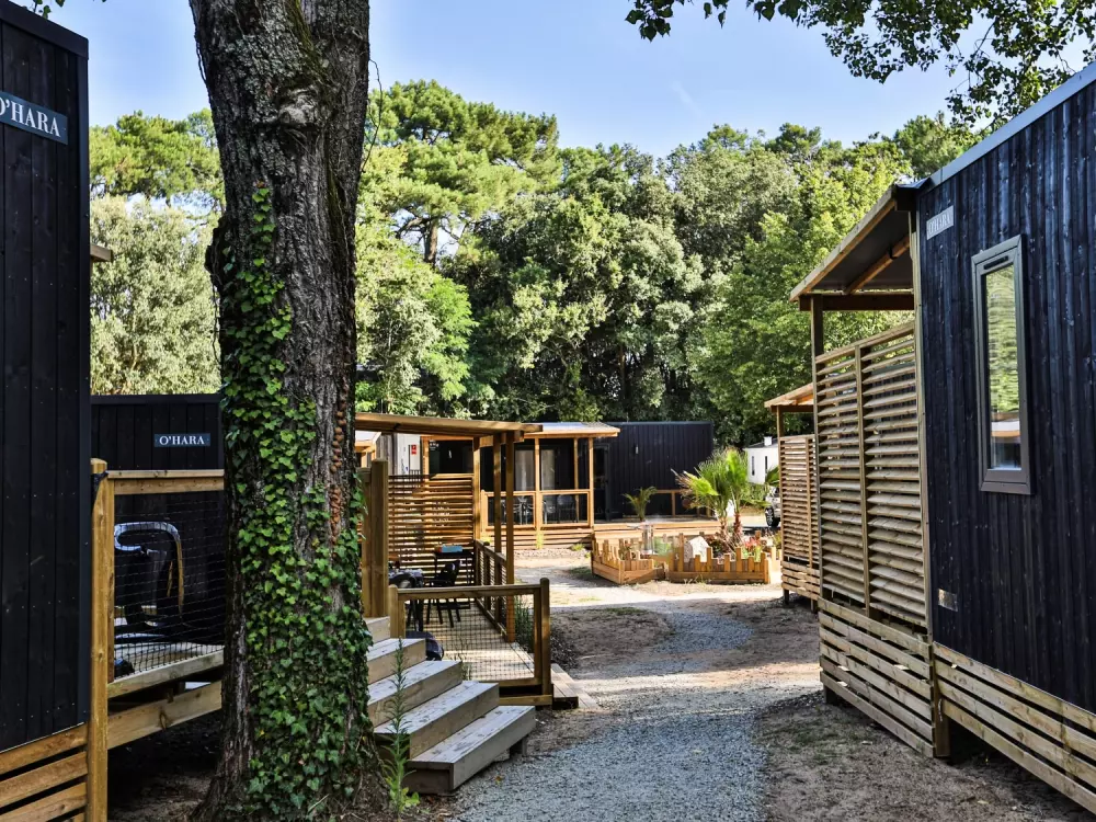 Flower Camping Les Dunes 4 étoiles★★★★