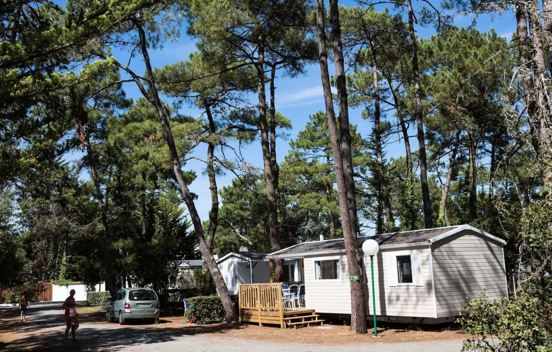 Flower Camping Les Dunes 4 étoiles★★★★