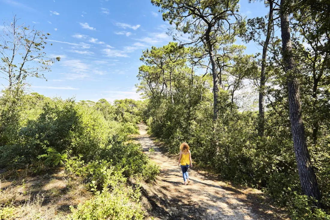 Flower Camping Les Dunes 4 étoiles★★★★