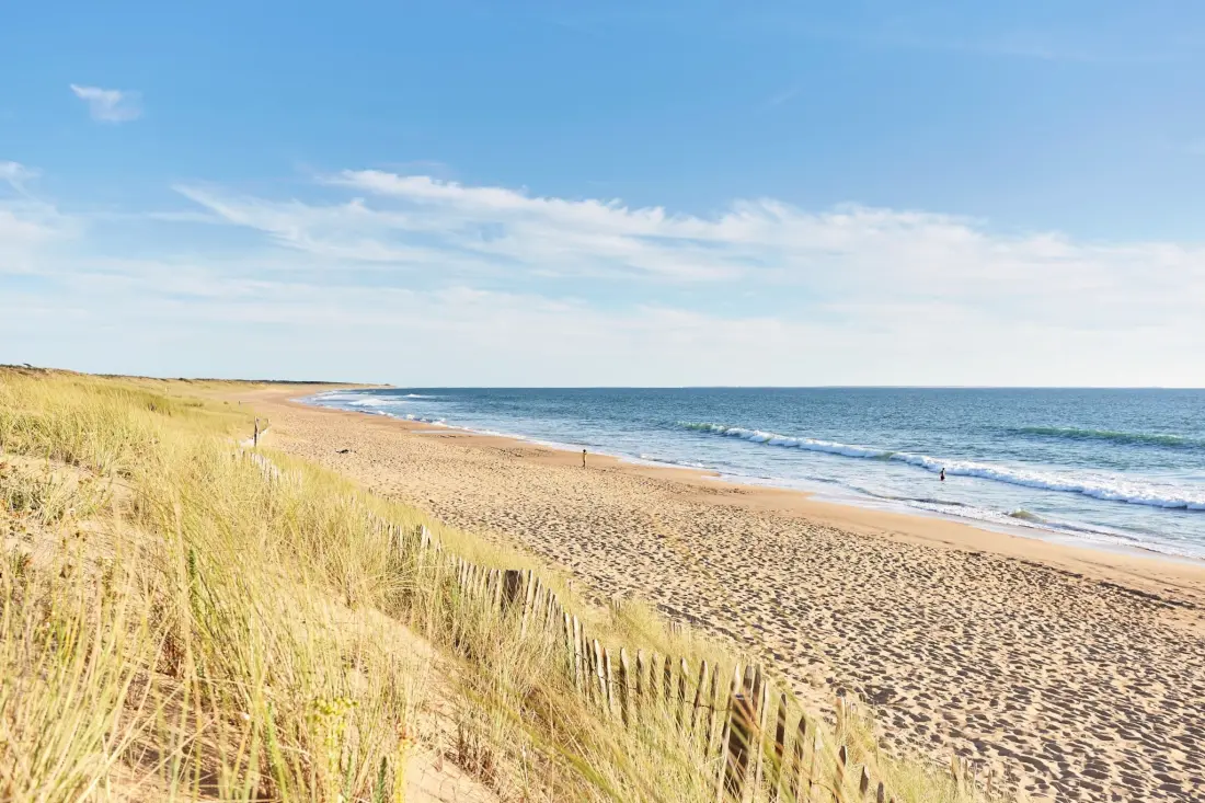 Flower Camping Les Dunes 4 étoiles★★★★