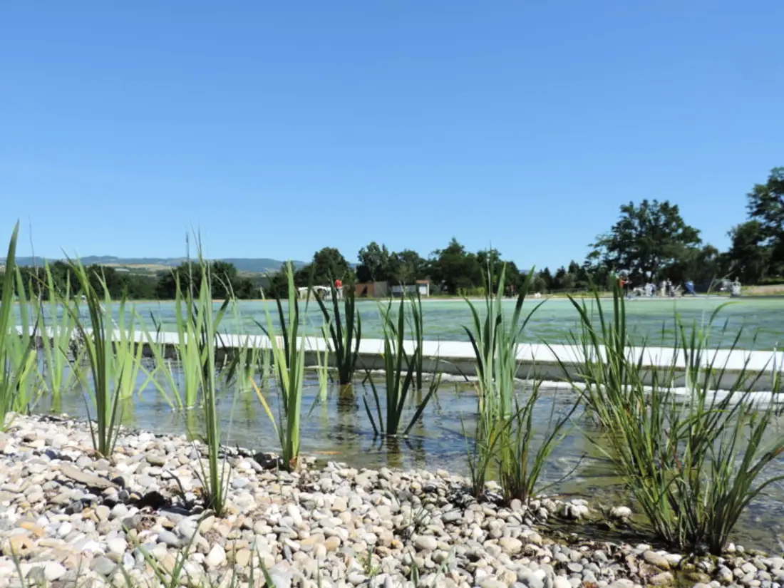 Location de Vacances LORETTE