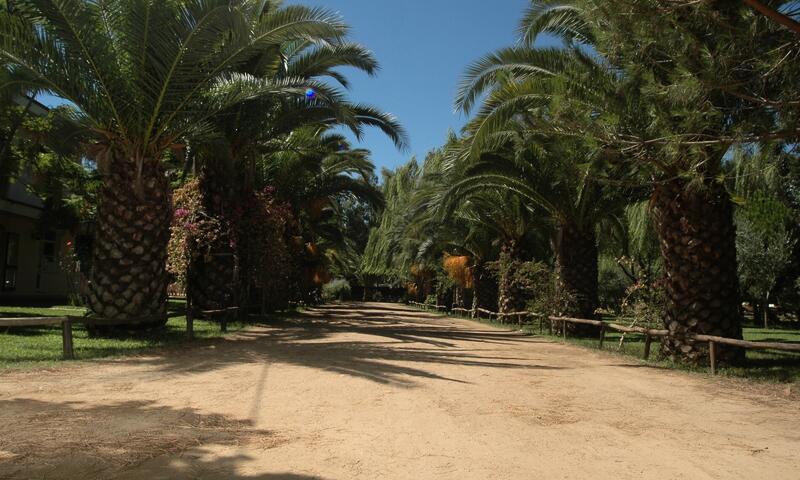 Camping Iscrixedda *** - - Lotzorai - 4