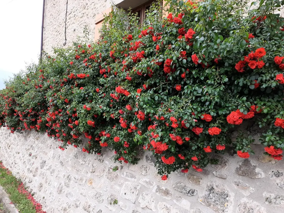 Maison de Vacances Louchy-Montfand 2