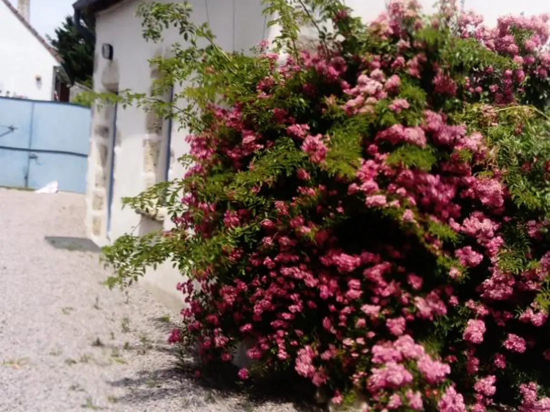 Maison de Vacances Louchy-Montfand 2