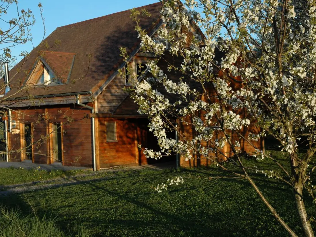 Maison de Vacances Louchy-Montfand
