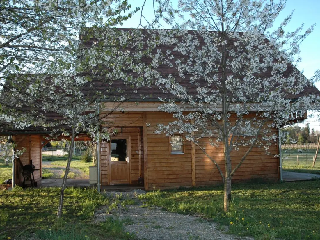 Maison de Vacances Louchy-Montfand