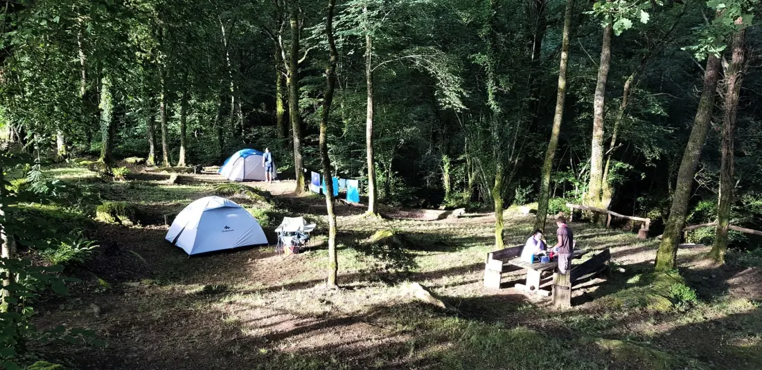 Camping La Forêt 4 étoiles★★★★
