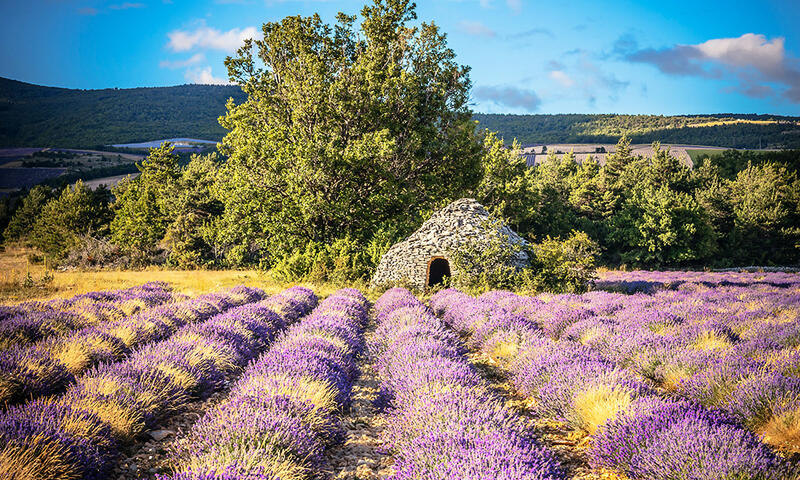 Campasun Camping Les Hautes Prairies **** - Lourmarin - 33