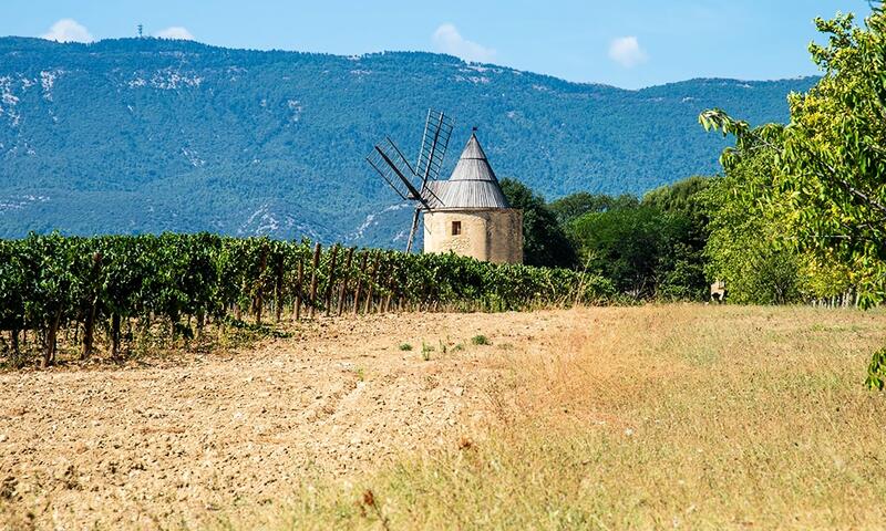 Campasun Camping Les Hautes Prairies **** - Lourmarin - 32