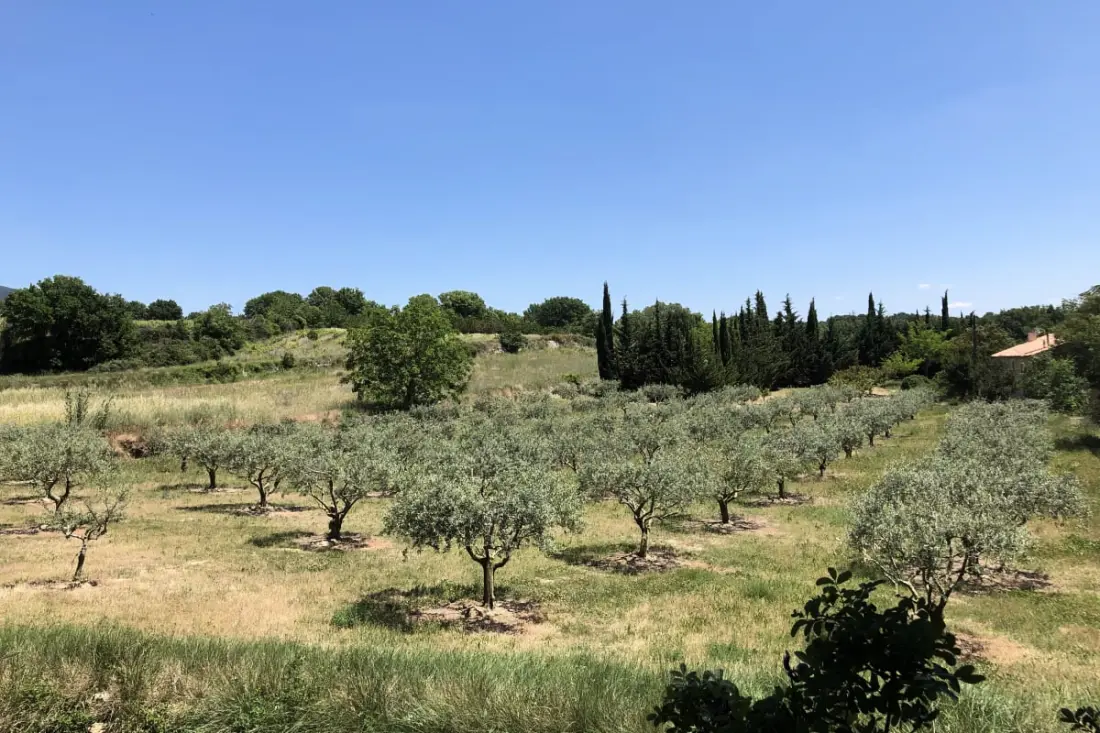 Maison De Famille En Pleine Nature, Piscine  Lourmarin