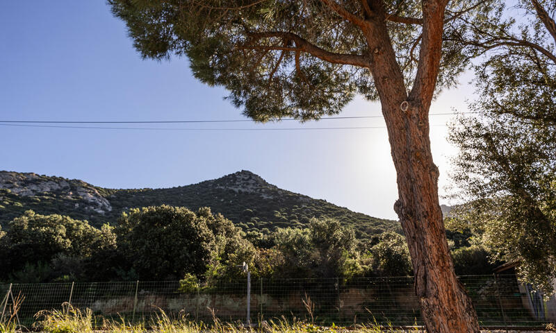 Appartements à Lumio - Corse - - Lumio - Corse - 18