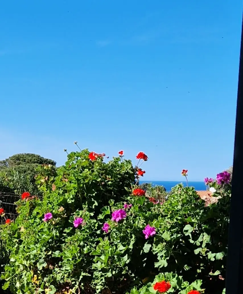 Résidence Les Bougainvilliers