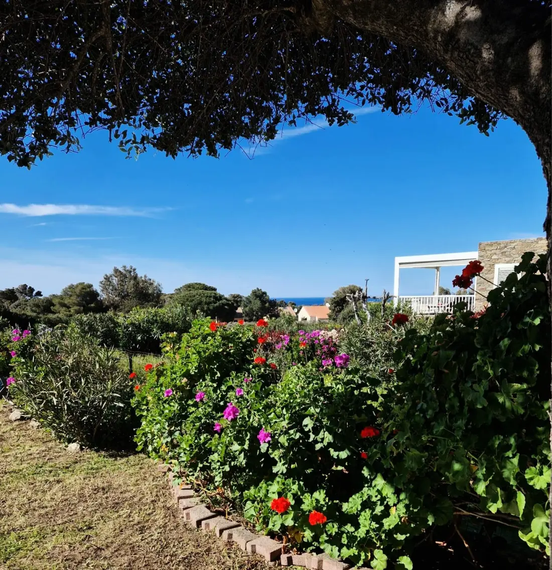 Résidence Les Bougainvilliers
