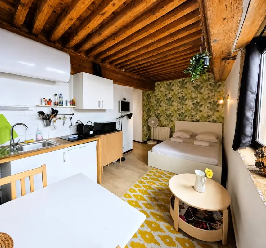 Charmant Studio 21m² - Opéra &amp; Terreaux Lyon