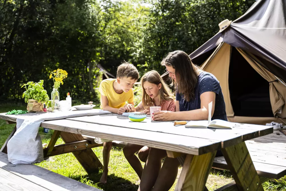 Vakantiepark BreeBronne