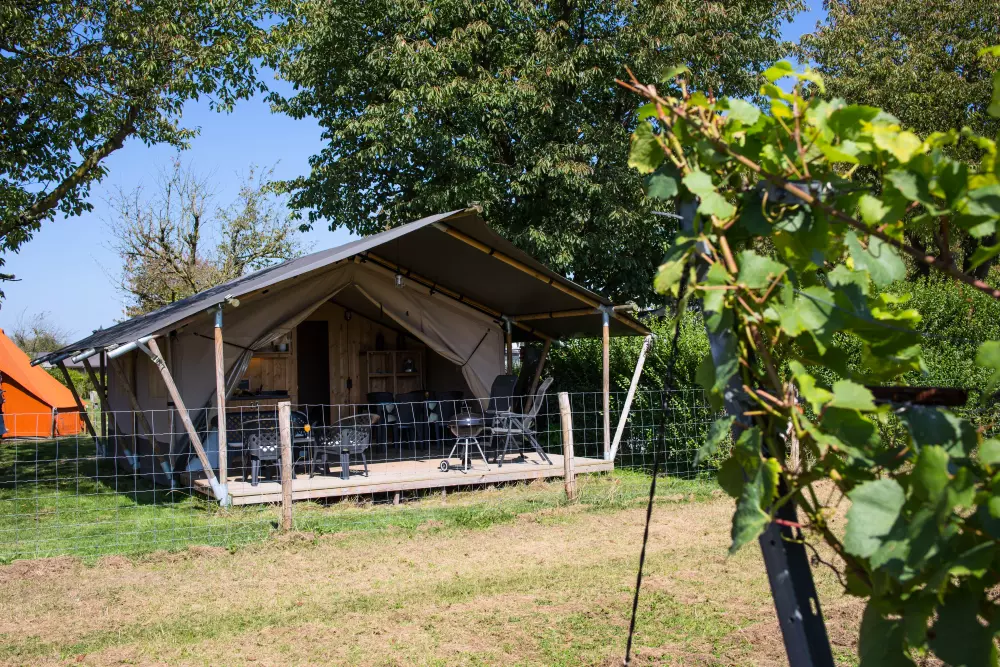 Camping de Boomgaard (Vodatent)