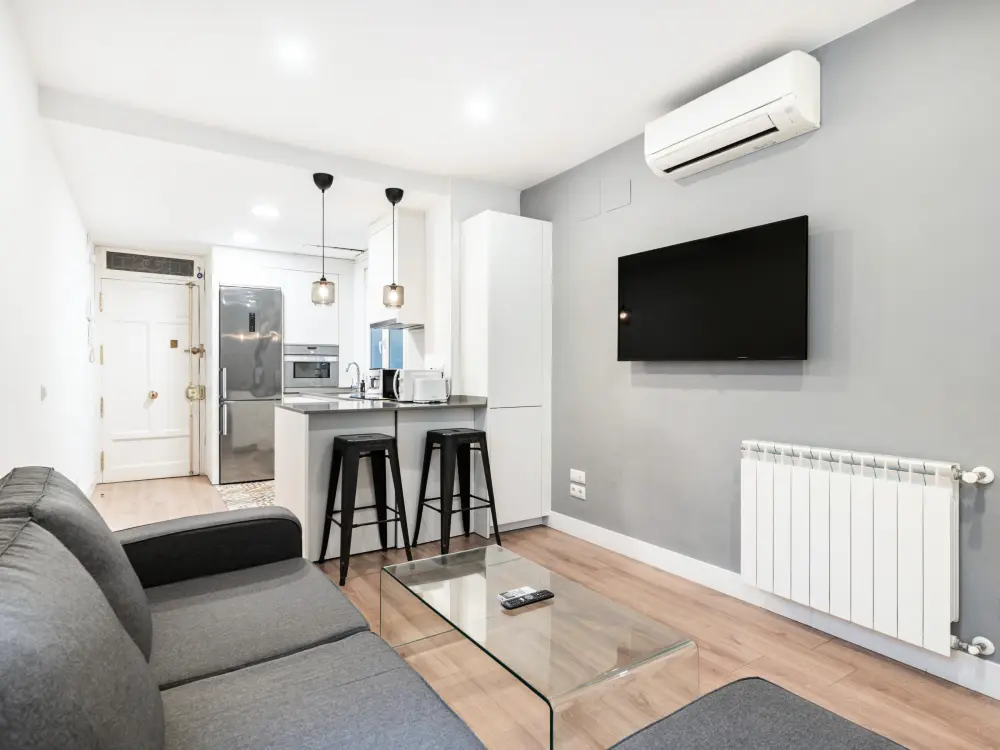 Location de Vacances Madrid 133