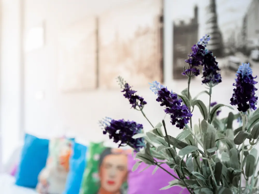 Location de Vacances Madrid 185