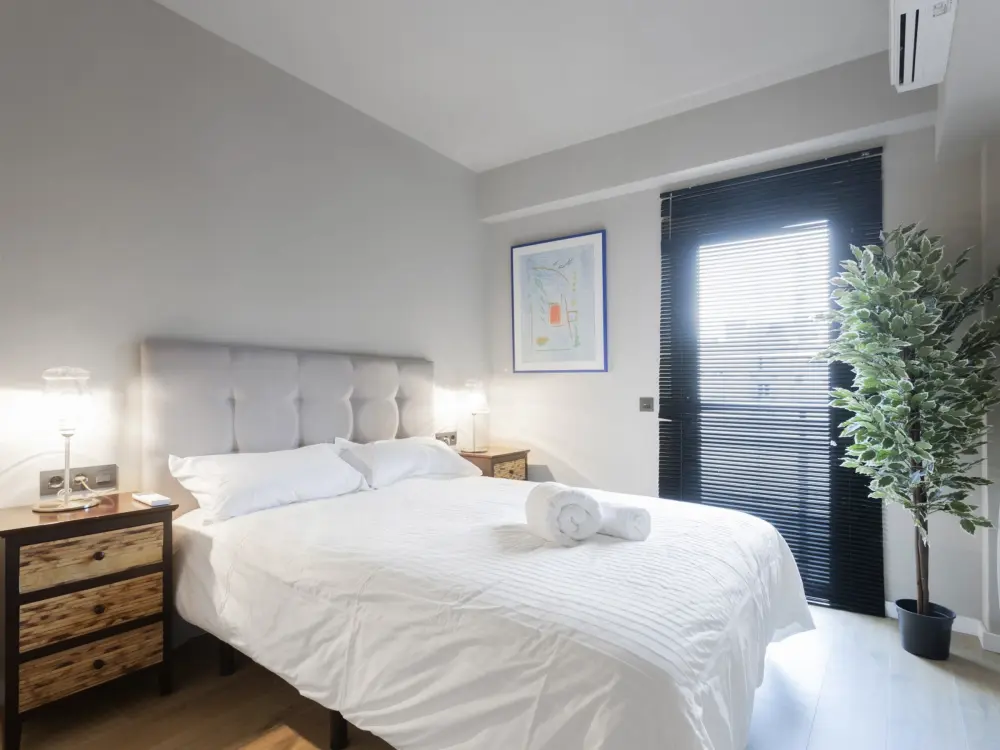 Location de Vacances Madrid 50