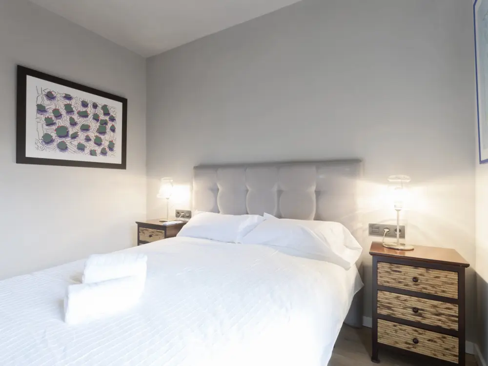 Location de Vacances Madrid 50