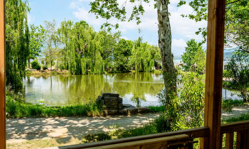 Trasimeno Glamping Resort **** - Magione - 35