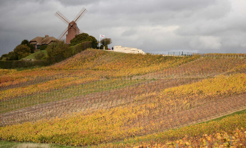 Gîte de France Le clos du vendôme - le petit gîte 2 épis - - Mailly Champagne - 8