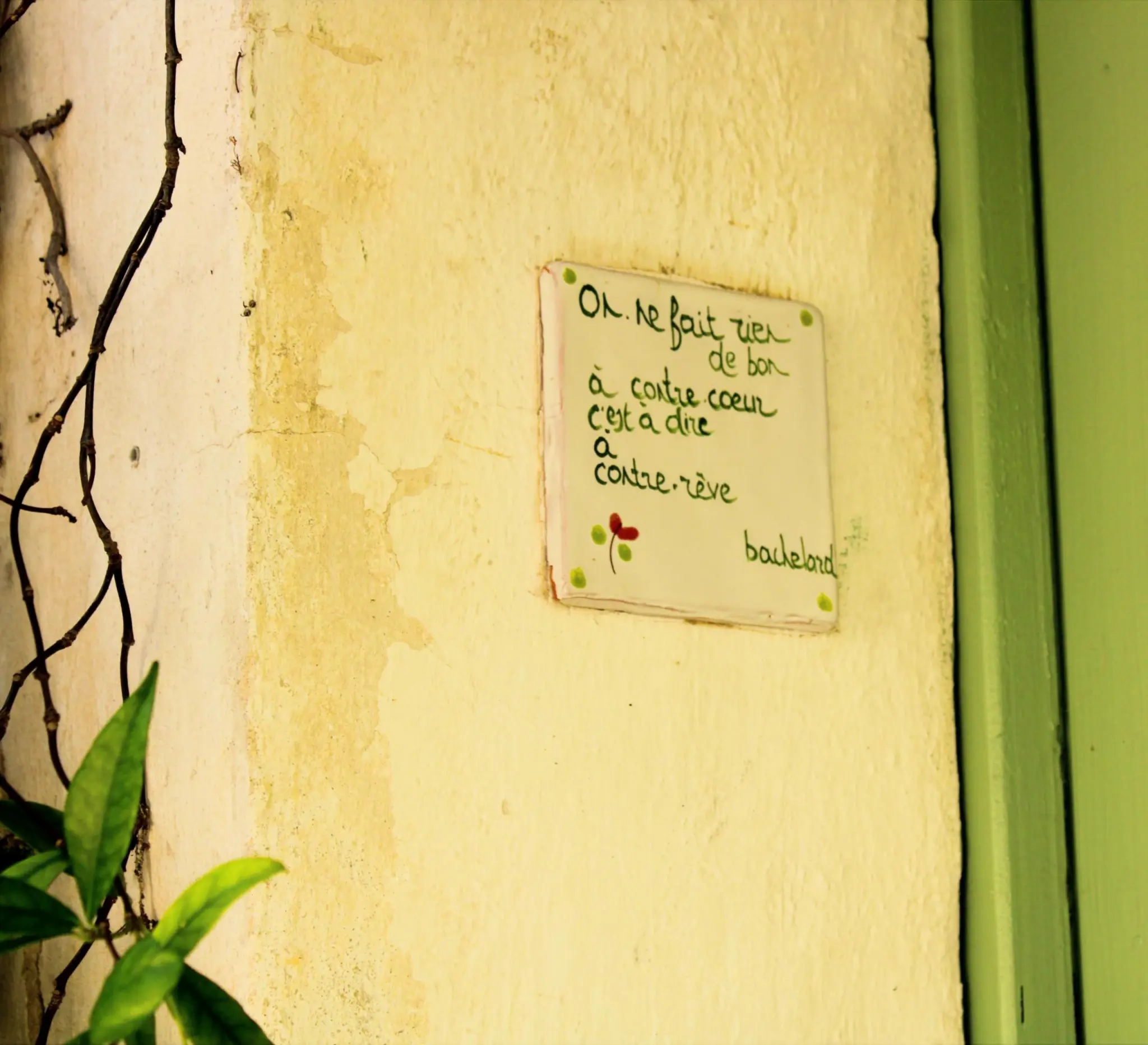 Maison À Malaucène - - Malaucène - 1