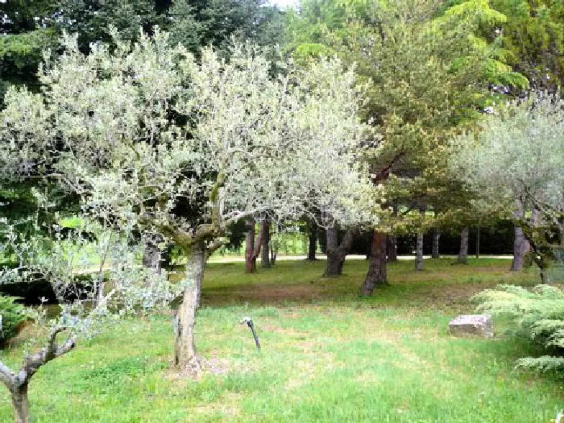 Le Mas Saint Pierre