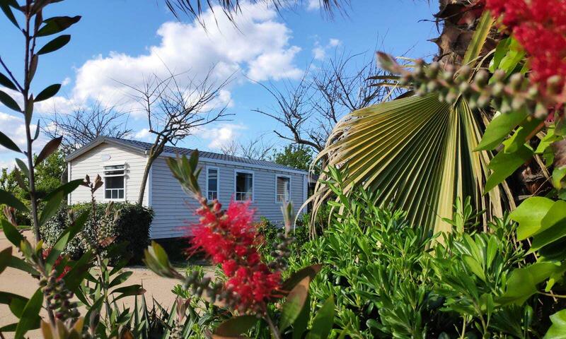 Camping Resort Els Pins by Viajes Velero *** - Malgrat de Mar - 26