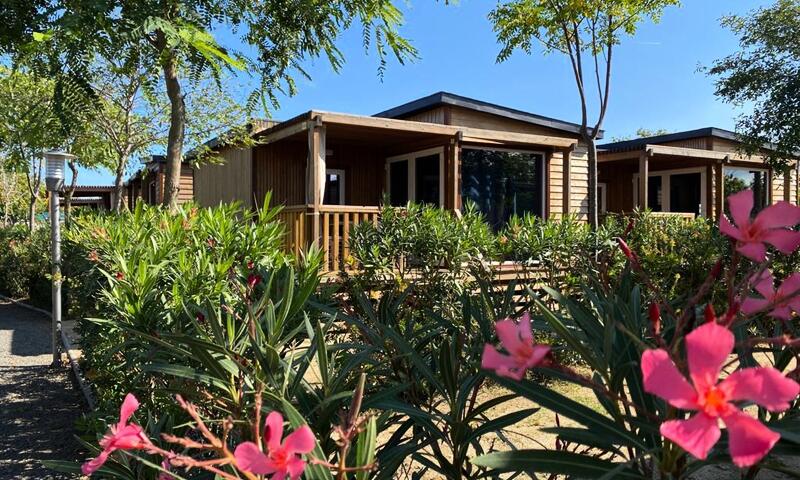 Camping Resort Els Pins by Viajes Velero *** - Malgrat de Mar - 27