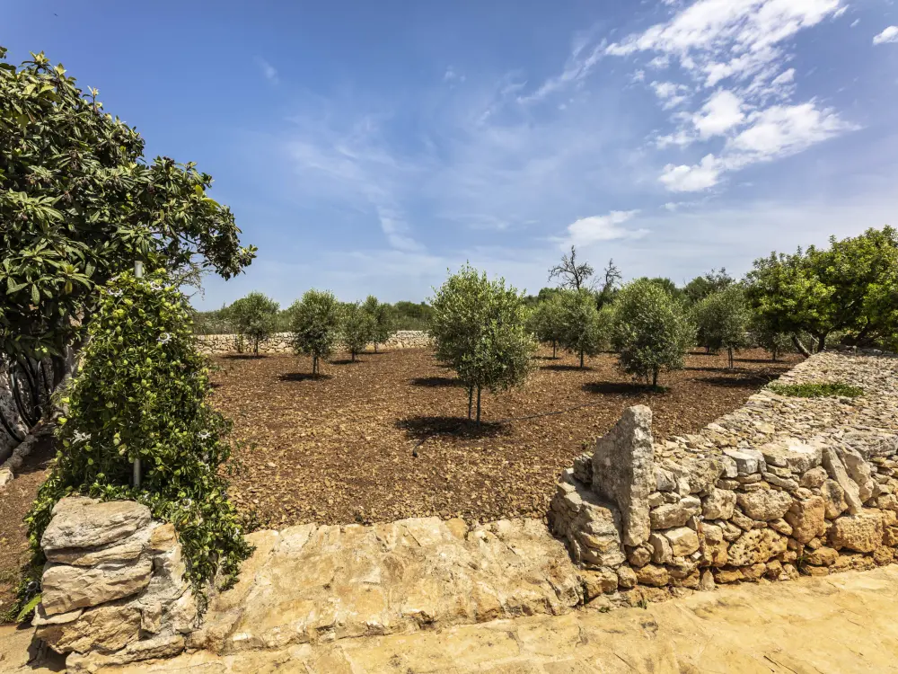 Maison de Vacances Manacor 60