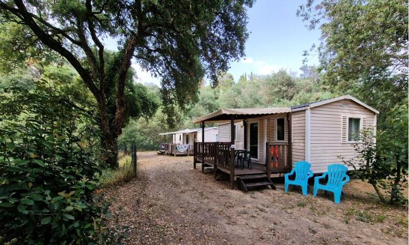 Camping la Provençale **** - Mandelieu-la-Napoule - 3