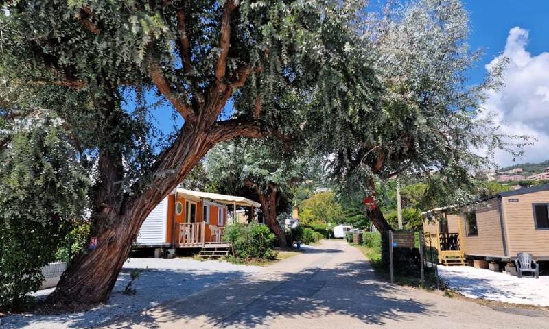 Camping la Provençale **** - Mandelieu-la-Napoule - 1