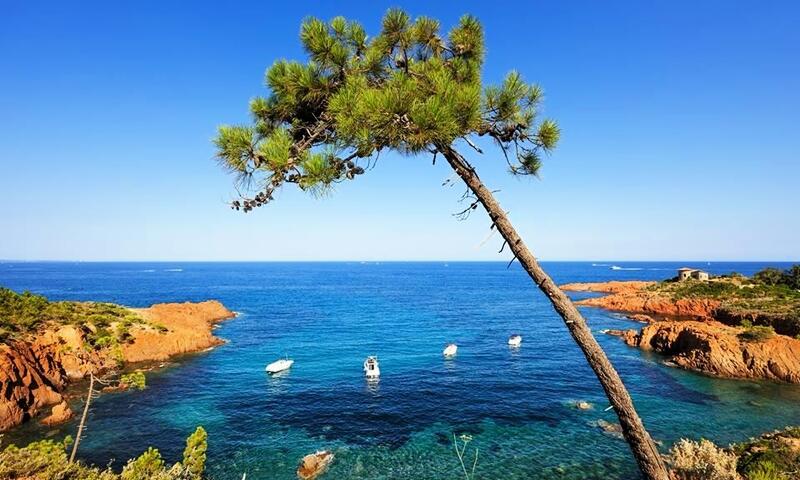 Camping la Provençale **** - Mandelieu-la-Napoule - 36