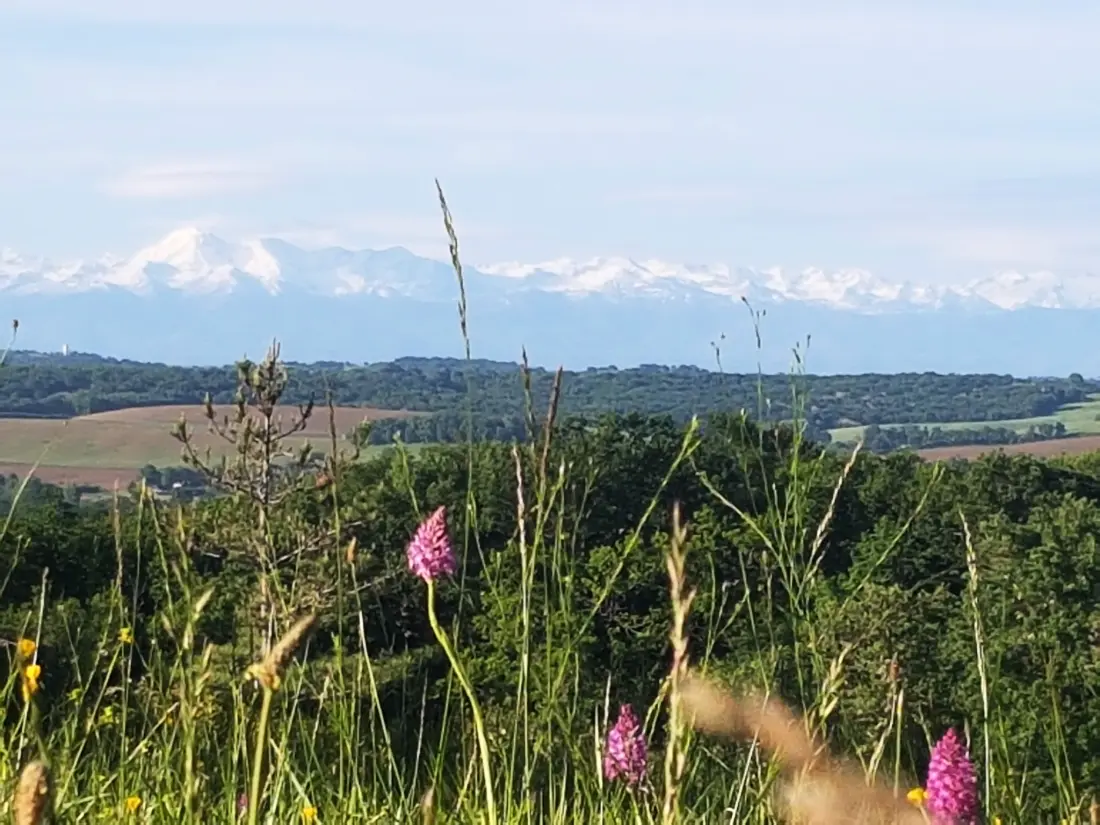 Camping du Lac 3 étoiles★★★