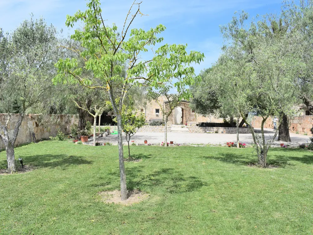 Maison de Vacances Maria de la Salut 16