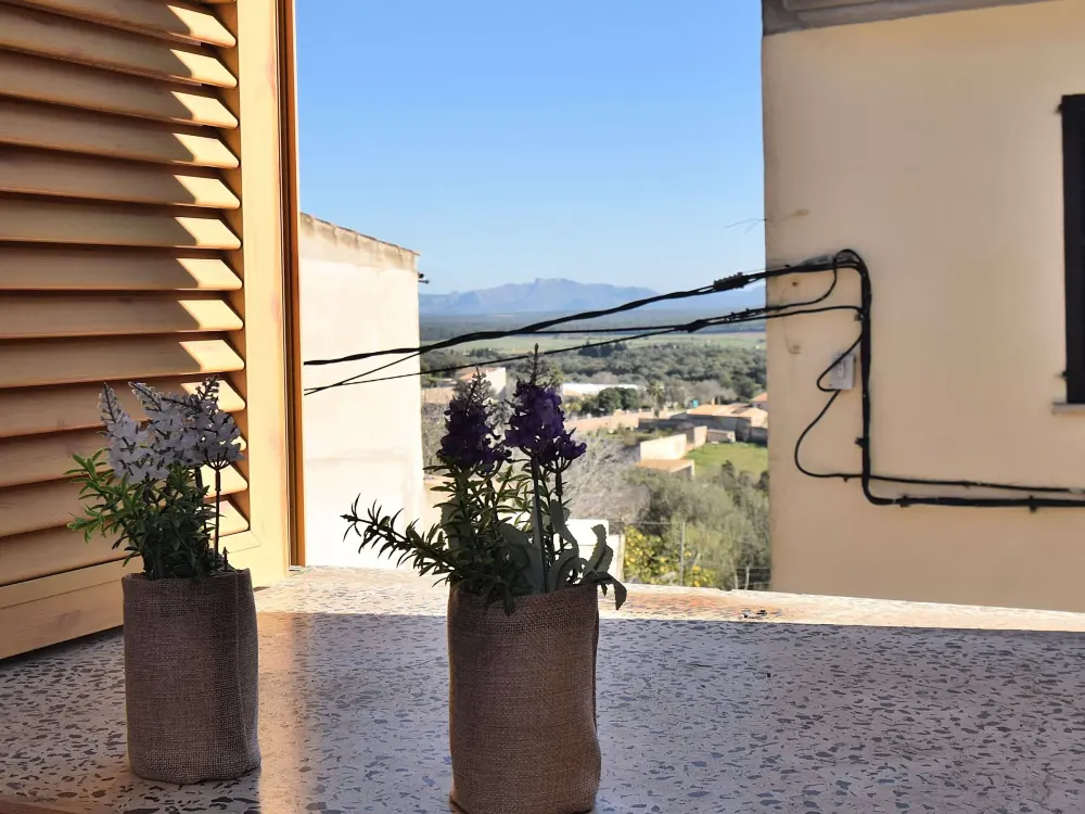 Maison de Vacances Maria de la Salut 17