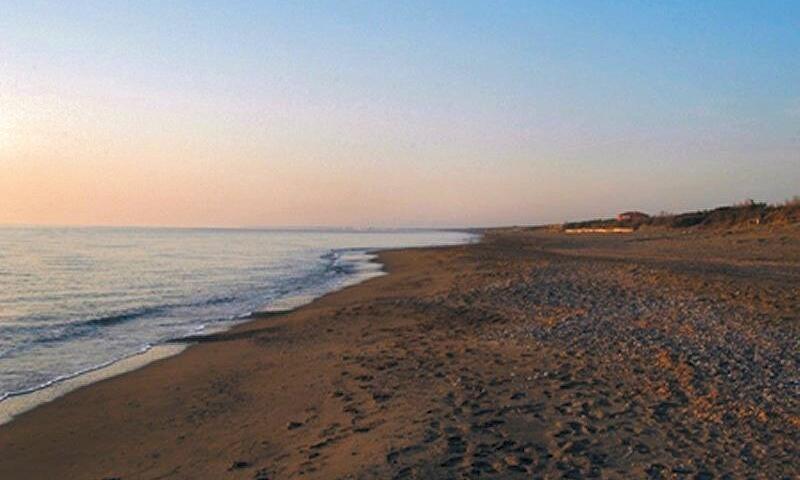Camping Free Time*** - Marina di Bibbona - 1