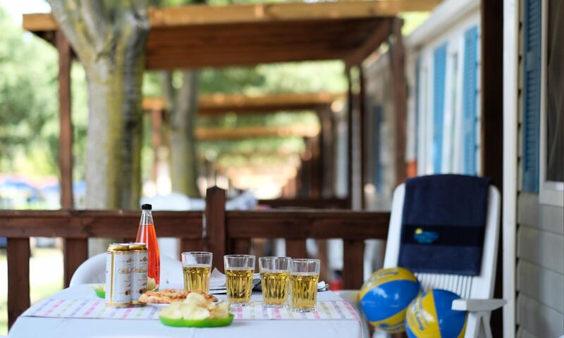Camping Free Time*** - Marina di Bibbona - 22