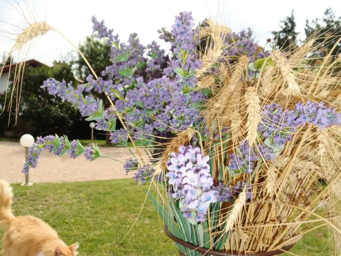 Maison de Vacances MARINGES 3