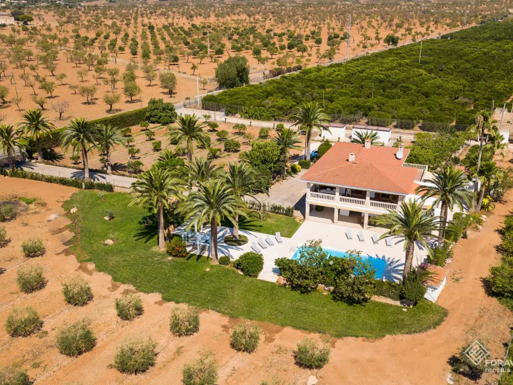 Maison de Vacances Marratxí 5