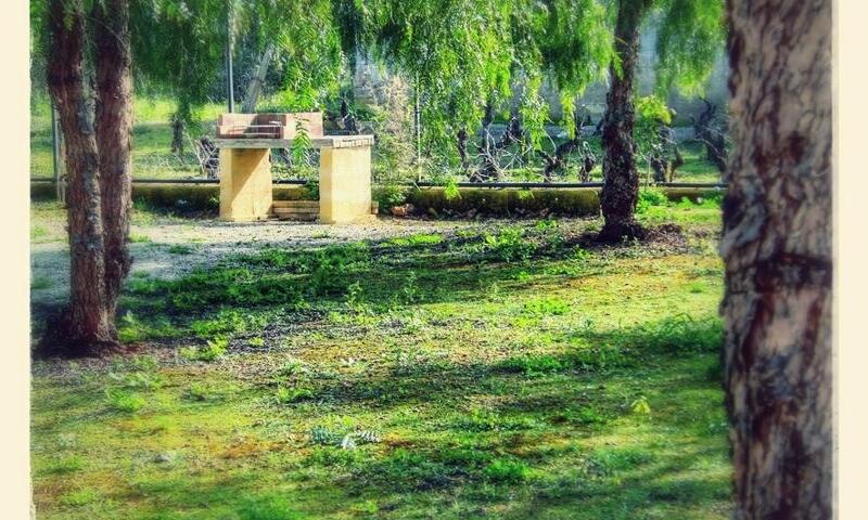 LILYBEO VILLAGE Camping&Residence *** - Marsala - 33