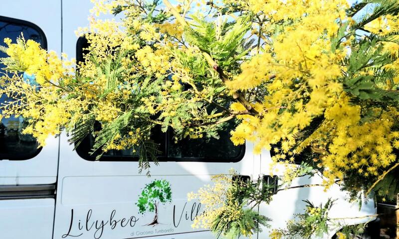 LILYBEO VILLAGE Camping&Residence *** - Marsala - 38